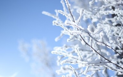 북유럽 4개국 12일 — 플롬 기차에서 바라보는 설경의 매력