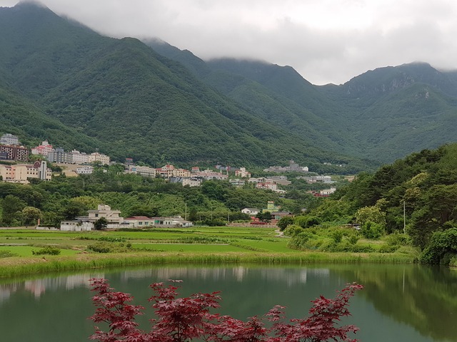 프랑스 미식 일주 10일 — 파리 에펠탑 주변 뷰 맛집 리스트